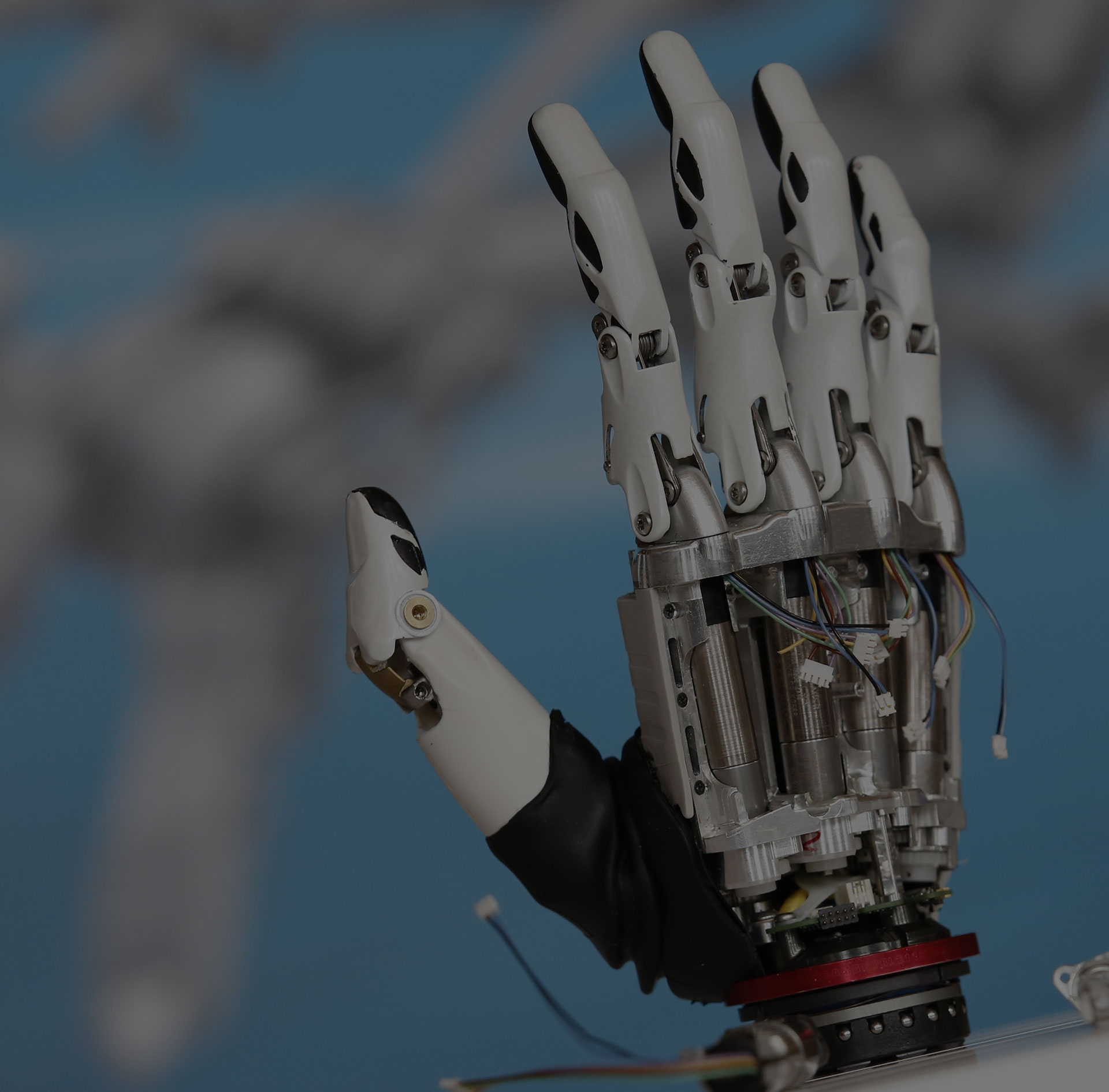 robo-hand